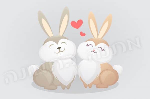 ארנבים מאוהבים